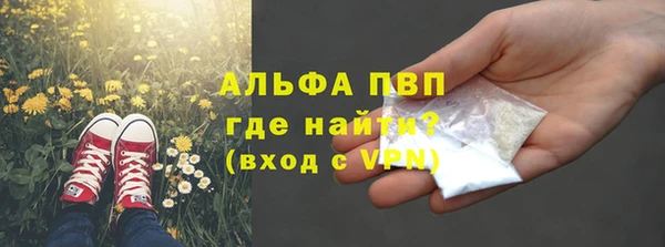 тгк Богородицк