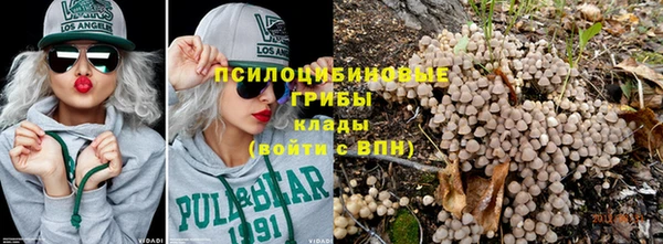 тгк Богородицк