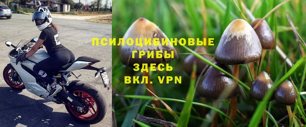 тгк Богородицк