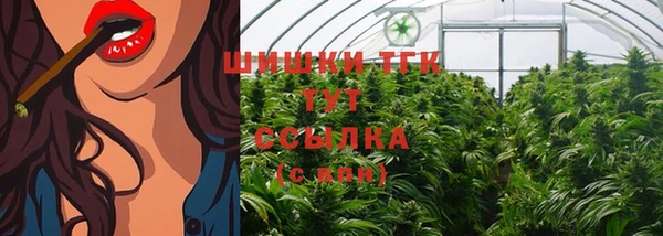 тгк Богородицк