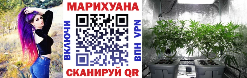 MEGA рабочий сайт Дюртюли Бошки марихуана план